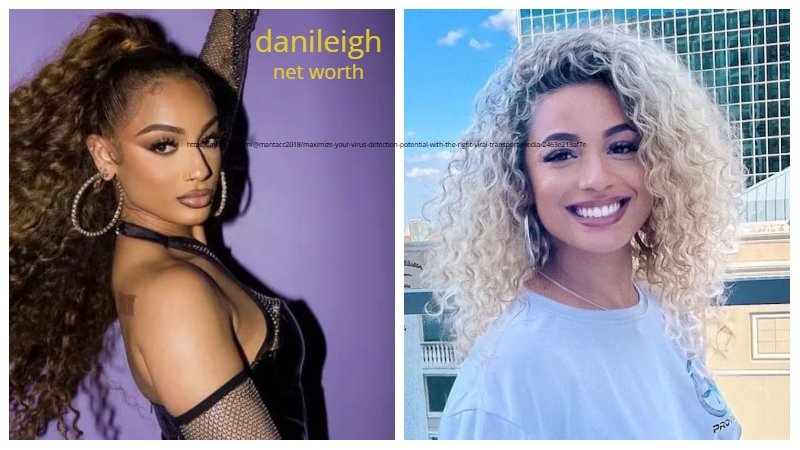 DaniLeigh Net Worth